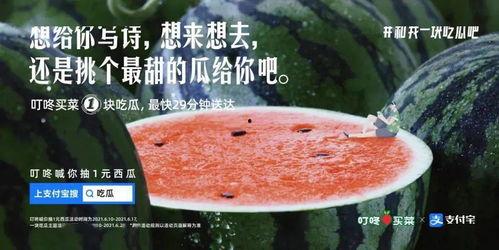 吃瓜娱乐圈文案